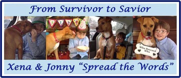From Survivor to Savior Xena - Survivor to Savior